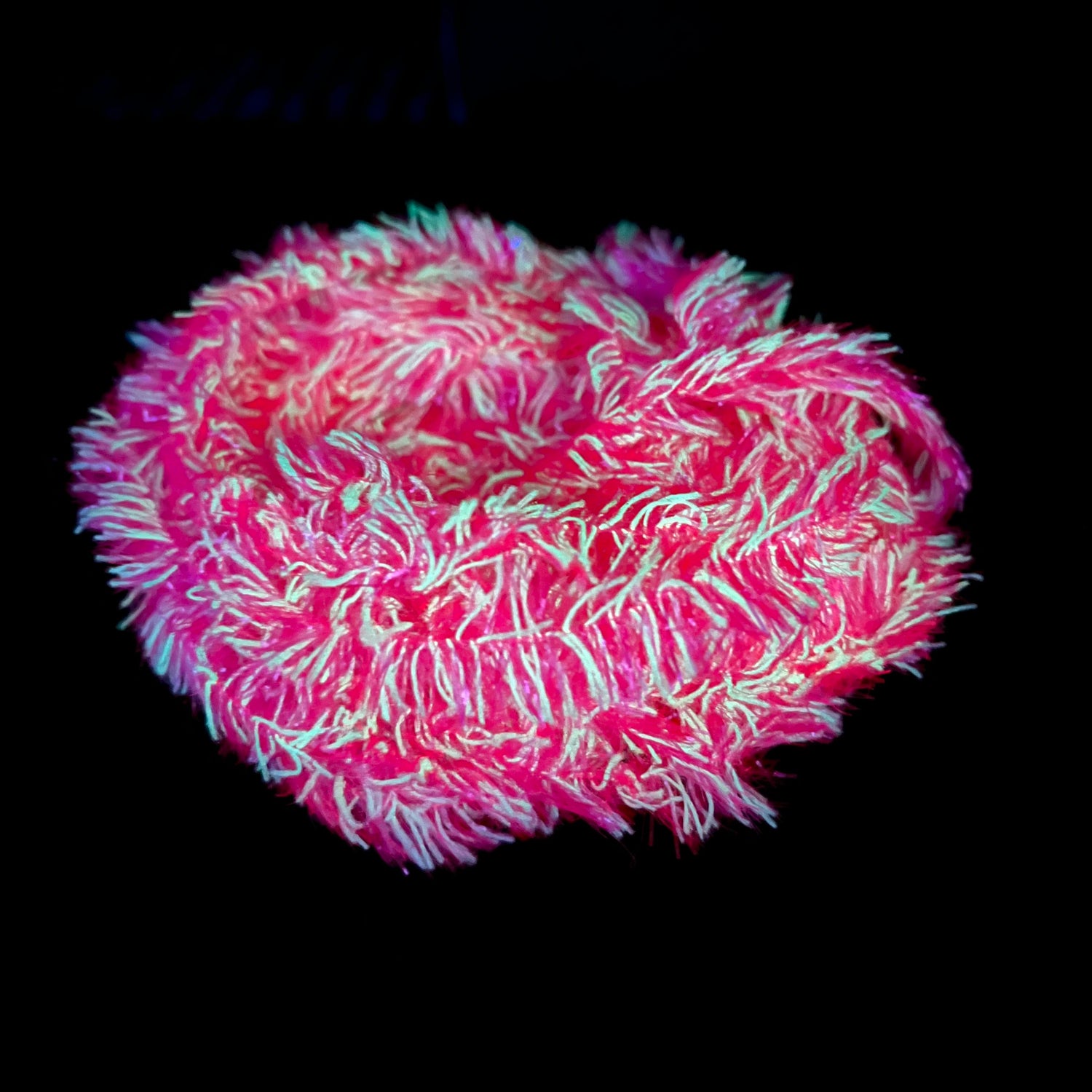 ProTye Lumi Fritz 15mm glow-in-the-dark fly tying fritz glowing in the dark